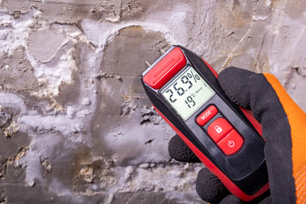 Best Attic Mold Removal  in Watertown, MN